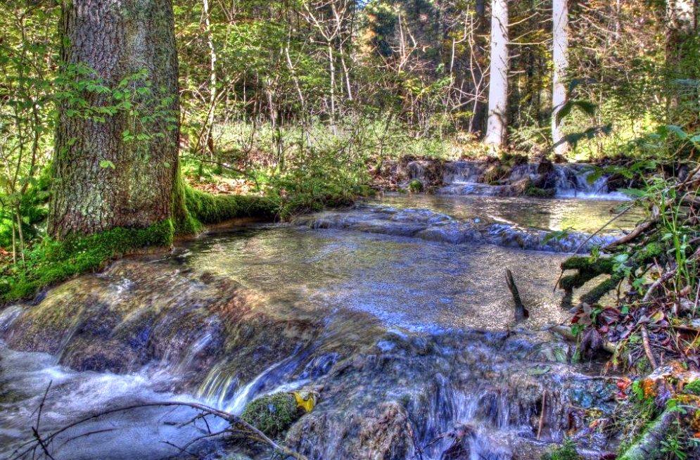 Kohlstattbrunnenbach Kohlstattbrunnenbach