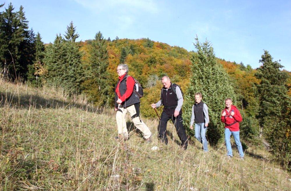 Wacholderheide Wacholderheide