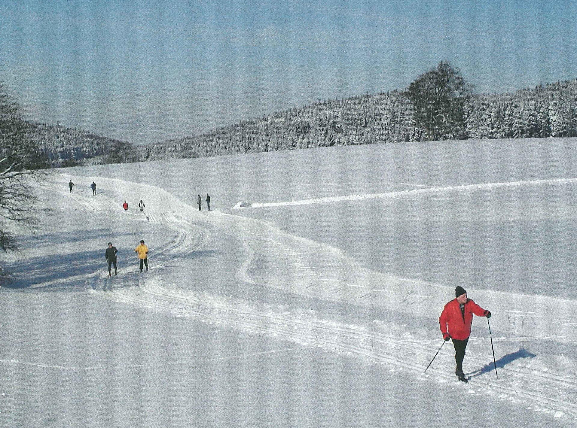 Langlauf Loipen