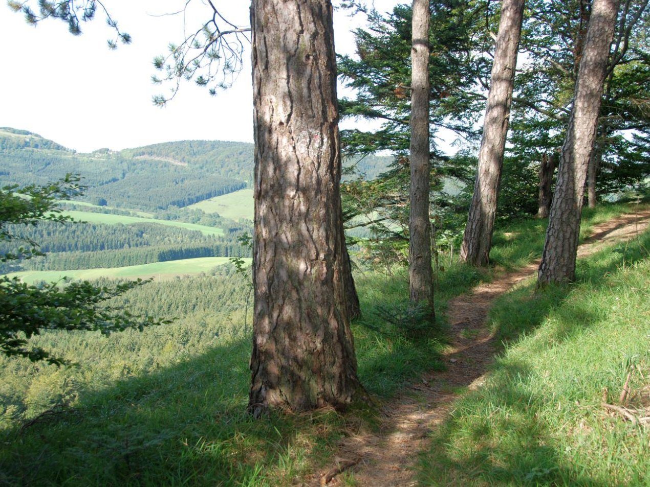 Wanderweg entlang des Rappensteins mit Blick ins Obere Schlichemtal