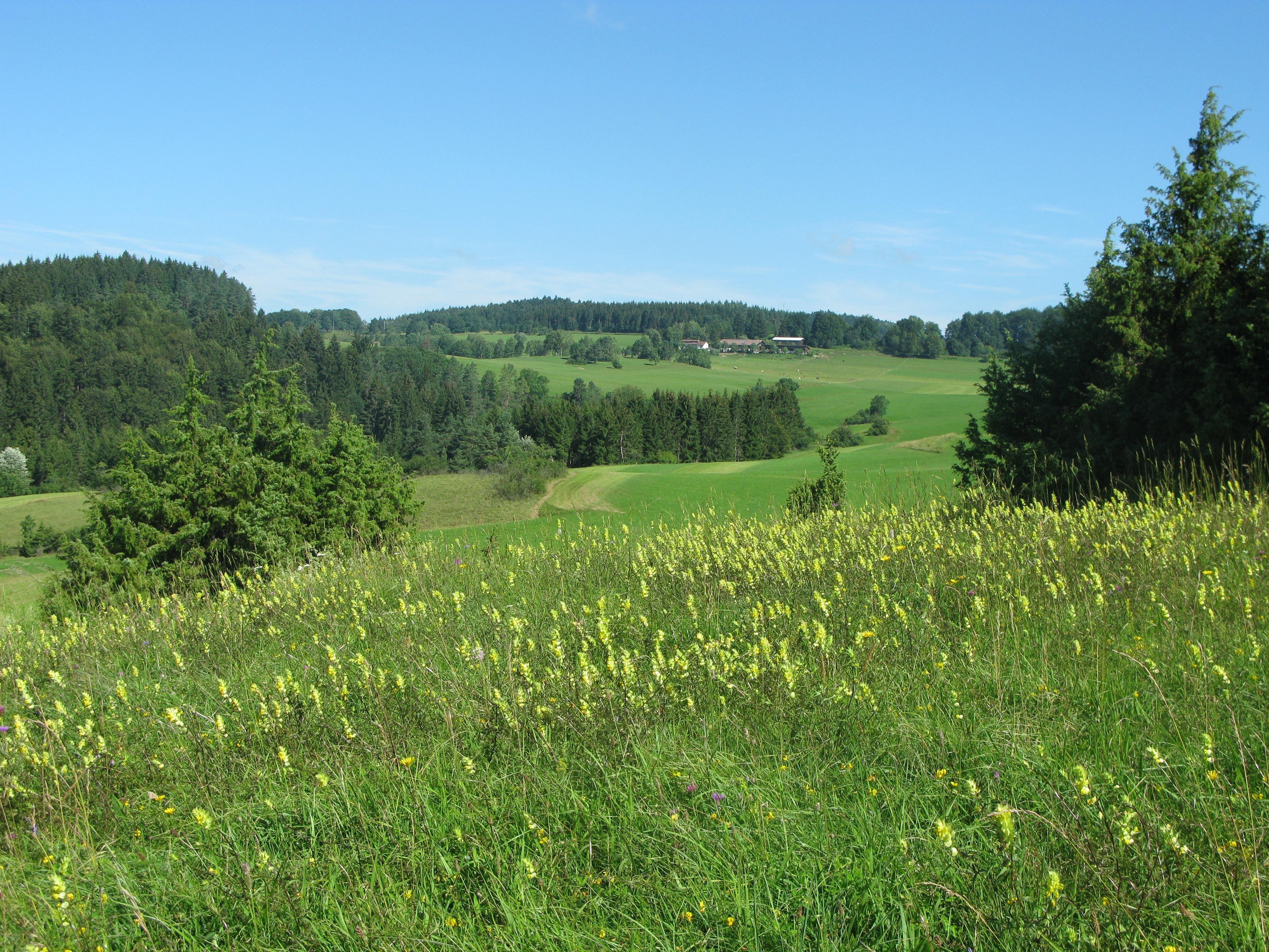 Blick vom Naturschutzgebiet Heimberg Richtung Michelfeld